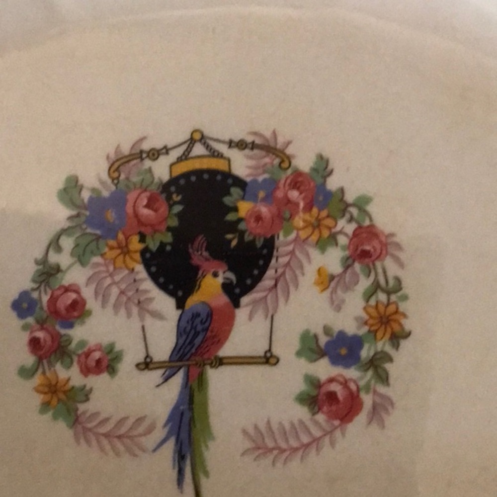 Vintage Penn china serving plate with beautiful parrot and flowers - Picture 2 of 5